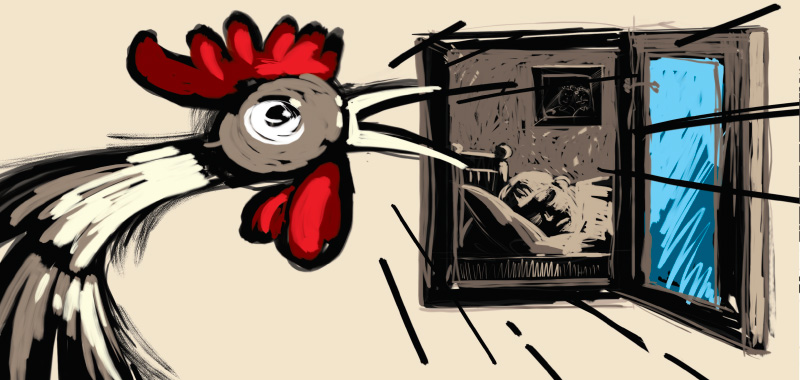 Comic story about country side, Cook sings in the early morning